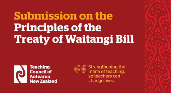 TC Submission Principles Treaty of Waitangi Bill Carousel